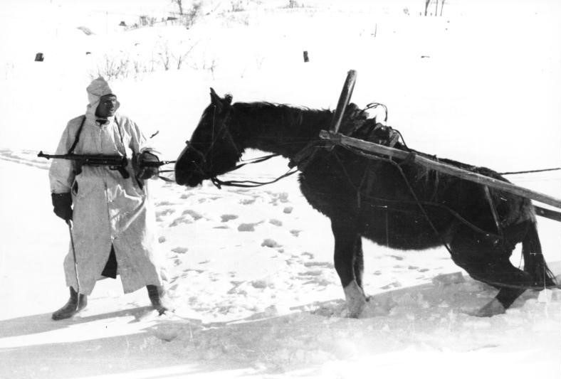 A photo from 1941 of a horse struggling in the snow, being pulled by a soldier wielding a machine gun.